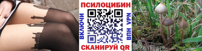 Галлюциногенные грибы Psilocybe  Купить закладки  Сорочинск 